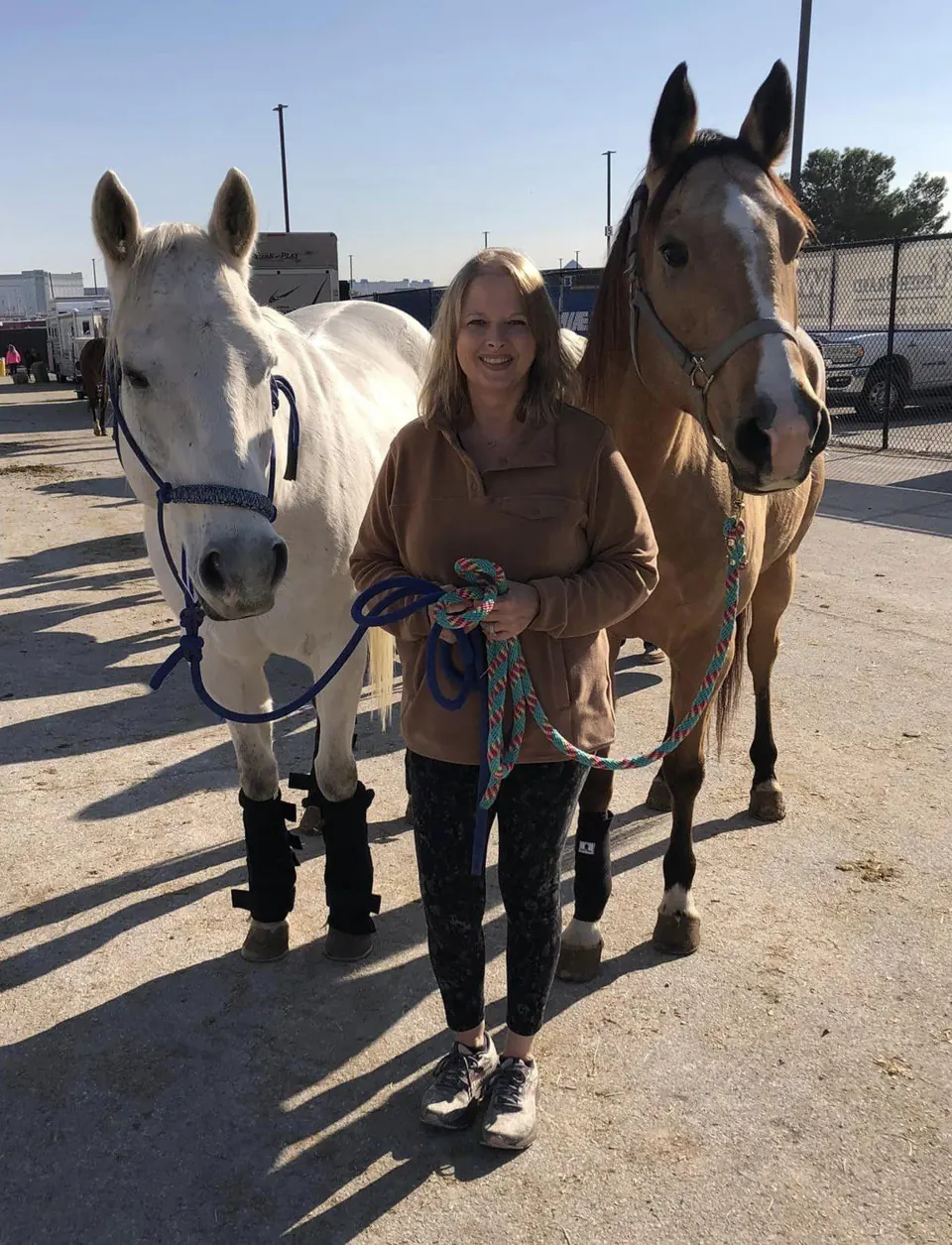 Horses at Rank Equine